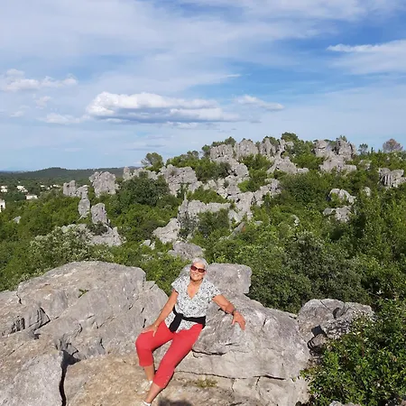 Logis Des Magnans -les Terrasses Du Coutach - * Sauve